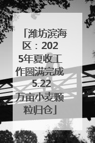 潍坊滨海区：2025年夏收工作圆满完成 5.22万亩小麦颗粒归仓