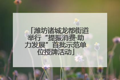 潍坊诸城龙都街道举行“提振消费·助力发展”首批示范单位授牌活动