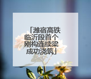 潍宿高铁临沂段首个刚构连续梁成功浇筑