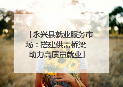 永兴县就业服务市场：搭建供需桥梁 助力高质量就业
