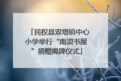 民权县双塔镇中心小学举行“南溟书屋”捐赠揭牌仪式