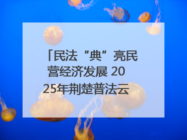 民法“典”亮民营经济发展 2025年荆楚普法云课堂第二期在武汉客厅开讲