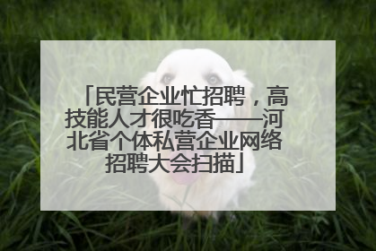 民营企业忙招聘，高技能人才很吃香——河北省个体私营企业网络招聘大会扫描