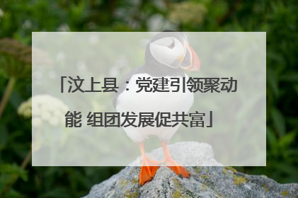 汶上县：党建引领聚动能 组团发展促共富