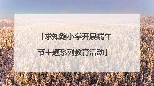 求知路小学开展端午节主题系列教育活动