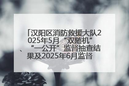 汉阳区消防救援大队2025年5月“双随机”、“一公开”监督抽查结果及2025年6月监督抽查任务公示