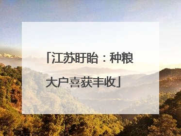 江苏盱眙：种粮大户喜获丰收
