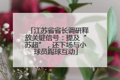 江苏省省长调研释放关键信号：提及“苏超”，还下场与小球员踢球互动
