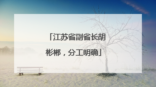 江苏省副省长胡彬郴，分工明确