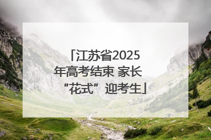 江苏省2025年高考结束 家长“花式”迎考生