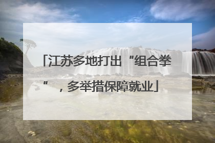 江苏多地打出“组合拳”，多举措保障就业