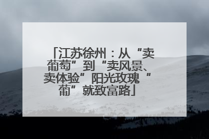 江苏徐州：从“卖葡萄”到“卖风景、卖体验”阳光玫瑰“葡”就致富路
