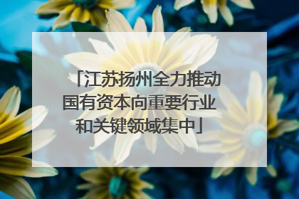 江苏扬州全力推动国有资本向重要行业和关键领域集中
