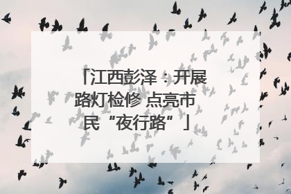 江西彭泽：开展路灯检修 点亮市民“夜行路”