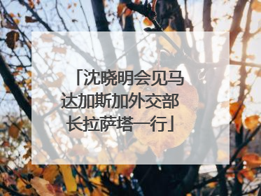 沈晓明会见马达加斯加外交部长拉萨塔一行