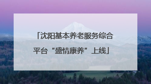 沈阳基本养老服务综合平台“盛情康养”上线