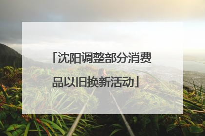 沈阳调整部分消费品以旧换新活动