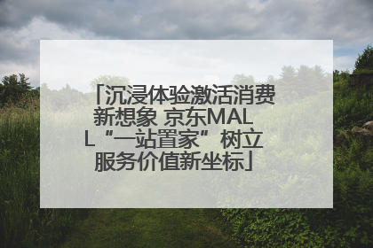 沉浸体验激活消费新想象 京东MALL“一站置家”树立服务价值新坐标