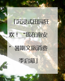沉浸式田园狂欢！“我在南安”暑期文旅消费季启幕