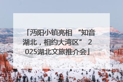 沔阳小镇亮相 “知音湖北，相约大湾区” 2025湖北文旅推介会
