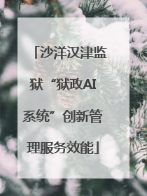 沙洋汉津监狱“狱政AI系统”创新管理服务效能