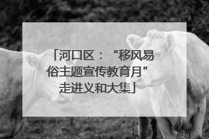 河口区：“移风易俗主题宣传教育月”走进义和大集