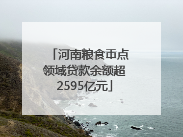 河南粮食重点领域贷款余额超2595亿元
