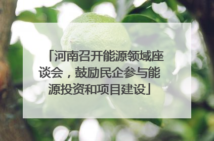 河南召开能源领域座谈会，鼓励民企参与能源投资和项目建设