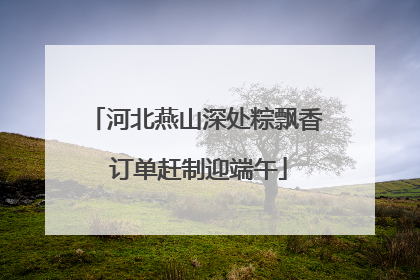 河北燕山深处粽飘香 订单赶制迎端午