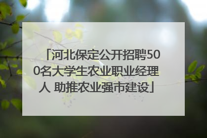 河北保定公开招聘500名大学生农业职业经理人 助推农业强市建设