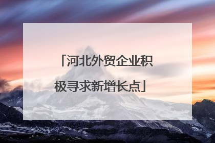 河北外贸企业积极寻求新增长点