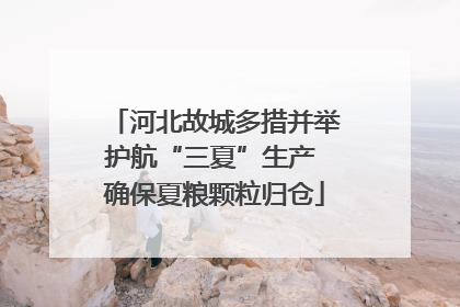 河北故城多措并举护航“三夏”生产 确保夏粮颗粒归仓
