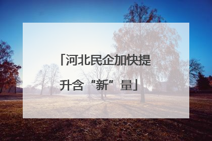 河北民企加快提升含“新”量
