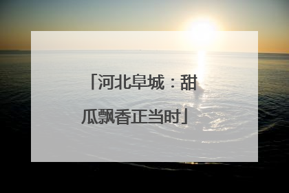 河北阜城：甜瓜飘香正当时