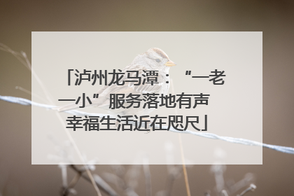 泸州龙马潭：“一老一小”服务落地有声 幸福生活近在咫尺
