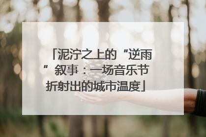 泥泞之上的“逆雨”叙事：一场音乐节折射出的城市温度