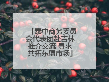 泰中商务委员会代表团赴吉林推介交流 寻求共拓东盟市场