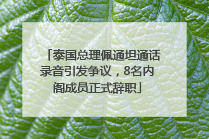 泰国总理佩通坦通话录音引发争议，8名内阁成员正式辞职