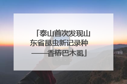 泰山首次发现山东省昆虫新记录种——香椿巴木虱