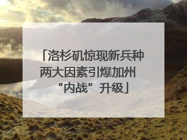 洛杉矶惊现新兵种 两大因素引爆加州“内战”升级