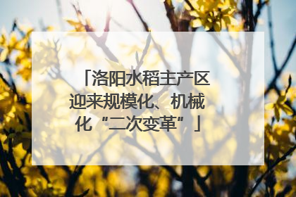 洛阳水稻主产区迎来规模化、机械化“二次变革”