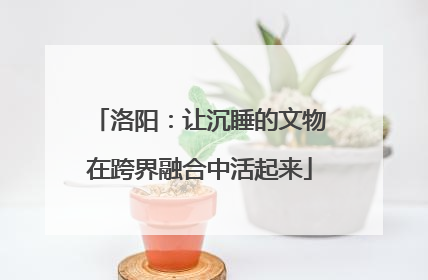 洛阳：让沉睡的文物在跨界融合中活起来