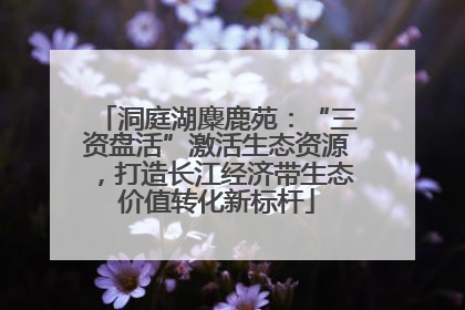 洞庭湖麋鹿苑：“三资盘活”激活生态资源，打造长江经济带生态价值转化新标杆