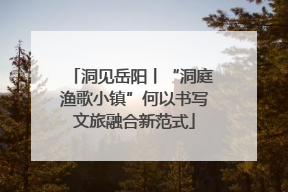 洞见岳阳丨“洞庭渔歌小镇”何以书写文旅融合新范式
