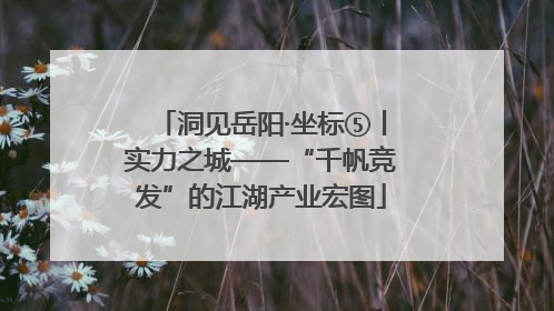 洞见岳阳·坐标⑤丨实力之城——“千帆竞发”的江湖产业宏图