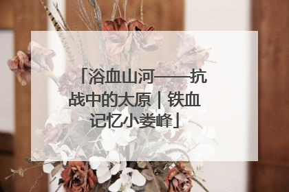 浴血山河——抗战中的太原｜铁血记忆小娄峰
