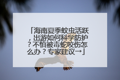 海南夏季蚊虫活跃，出游如何科学防护？不慎被毒蛇咬伤怎么办？专家建议→