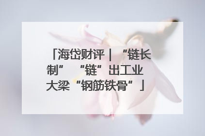 海岱财评｜“链长制” “链”出工业大梁“钢筋铁骨”