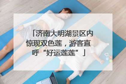 济南大明湖景区内惊现双色莲，游客直呼“好运莲莲”