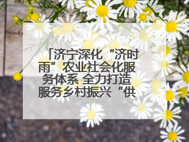 济宁深化“济时雨”农业社会化服务体系 全力打造服务乡村振兴“供销样板”